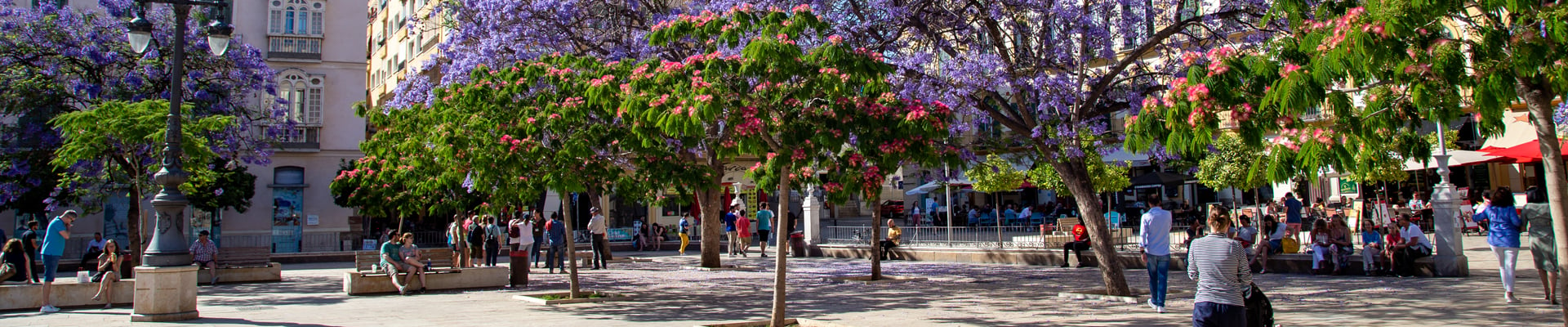 Plaza de La Merced in Malaga, Spain