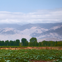 Cost-of-Living-in-Mendoza
