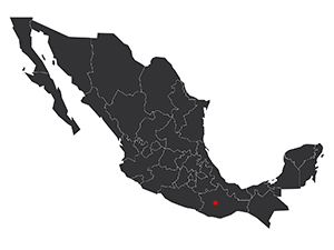 Map Mexico Oaxaca