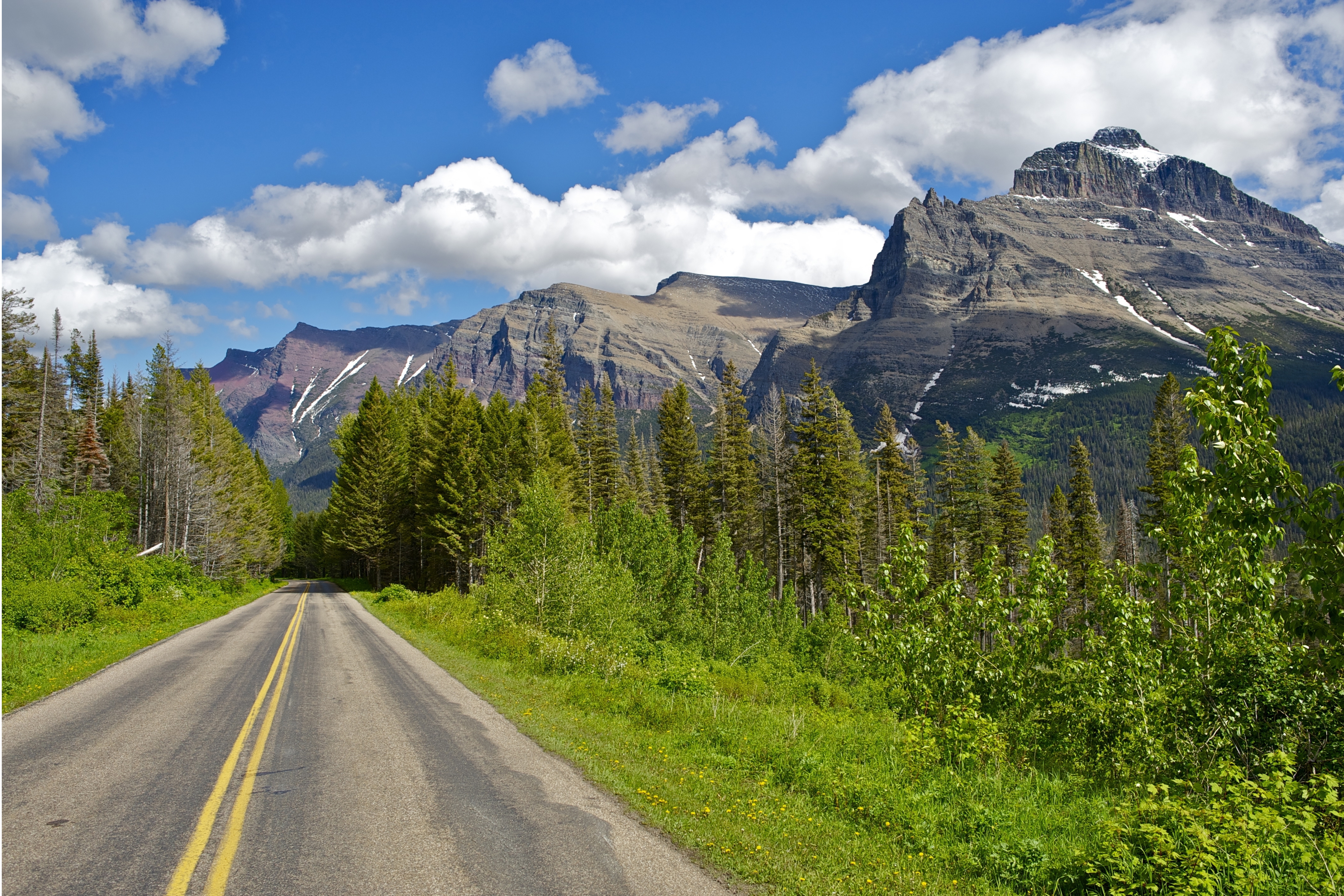 Montana