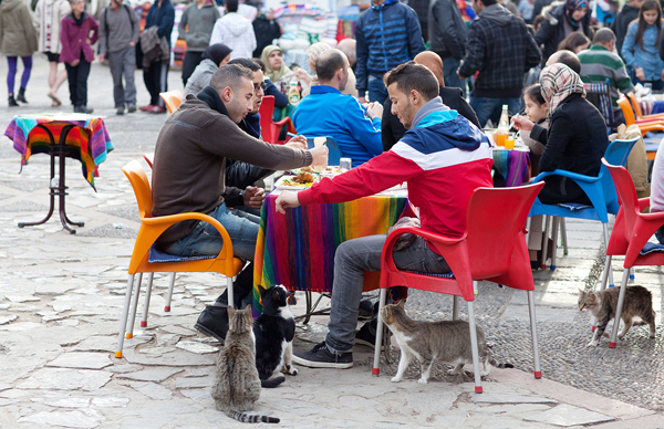 Living in Morocco - Christmas in Morocco