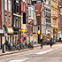 Expats-in-the-Netherlands