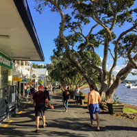 New Zealand Guide