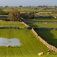 10-Best-Places-for-Families-to-Live-in-Ireland