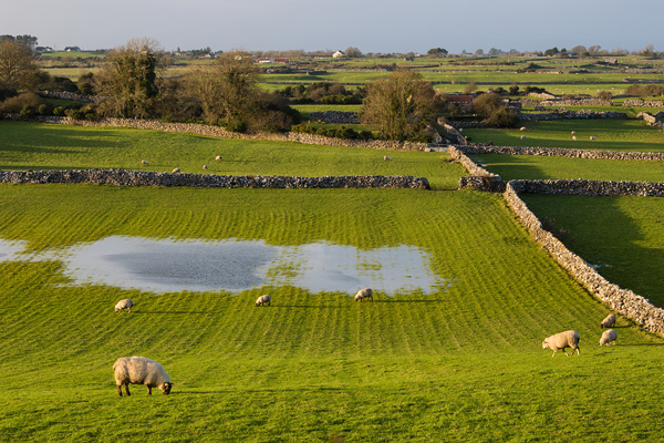 Ireland