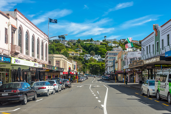 Tips for Expats Driving in Napier