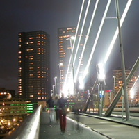 Driving-in-Rotterdam