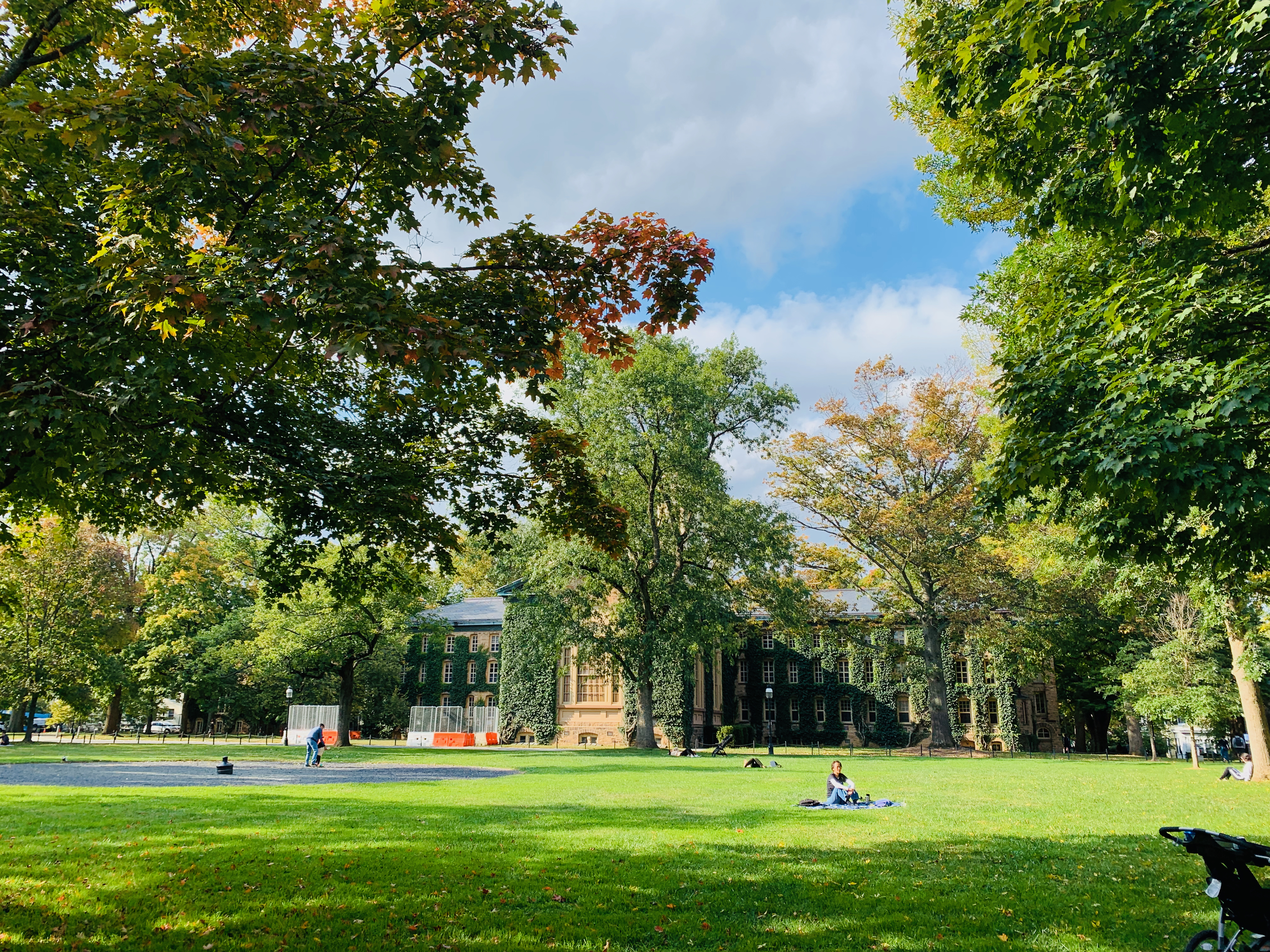Princeton University