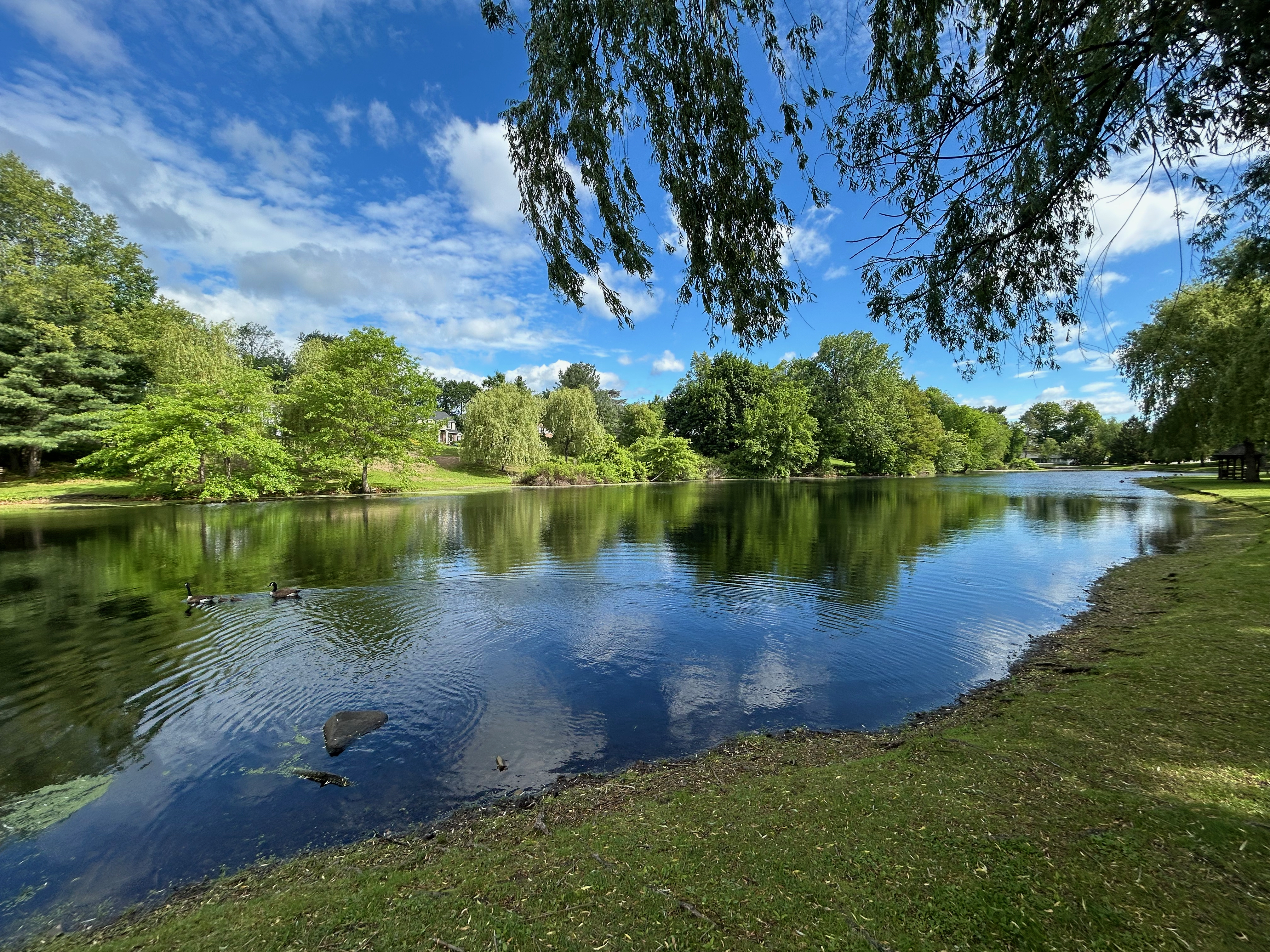 Zabriskie Pond Park in Franklin Lakes, NJ