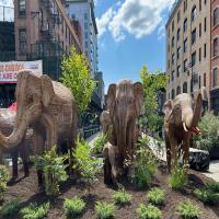 Best Neighborhoods for Retirees in New York