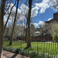 Best Neighborhoods for Single People in New York