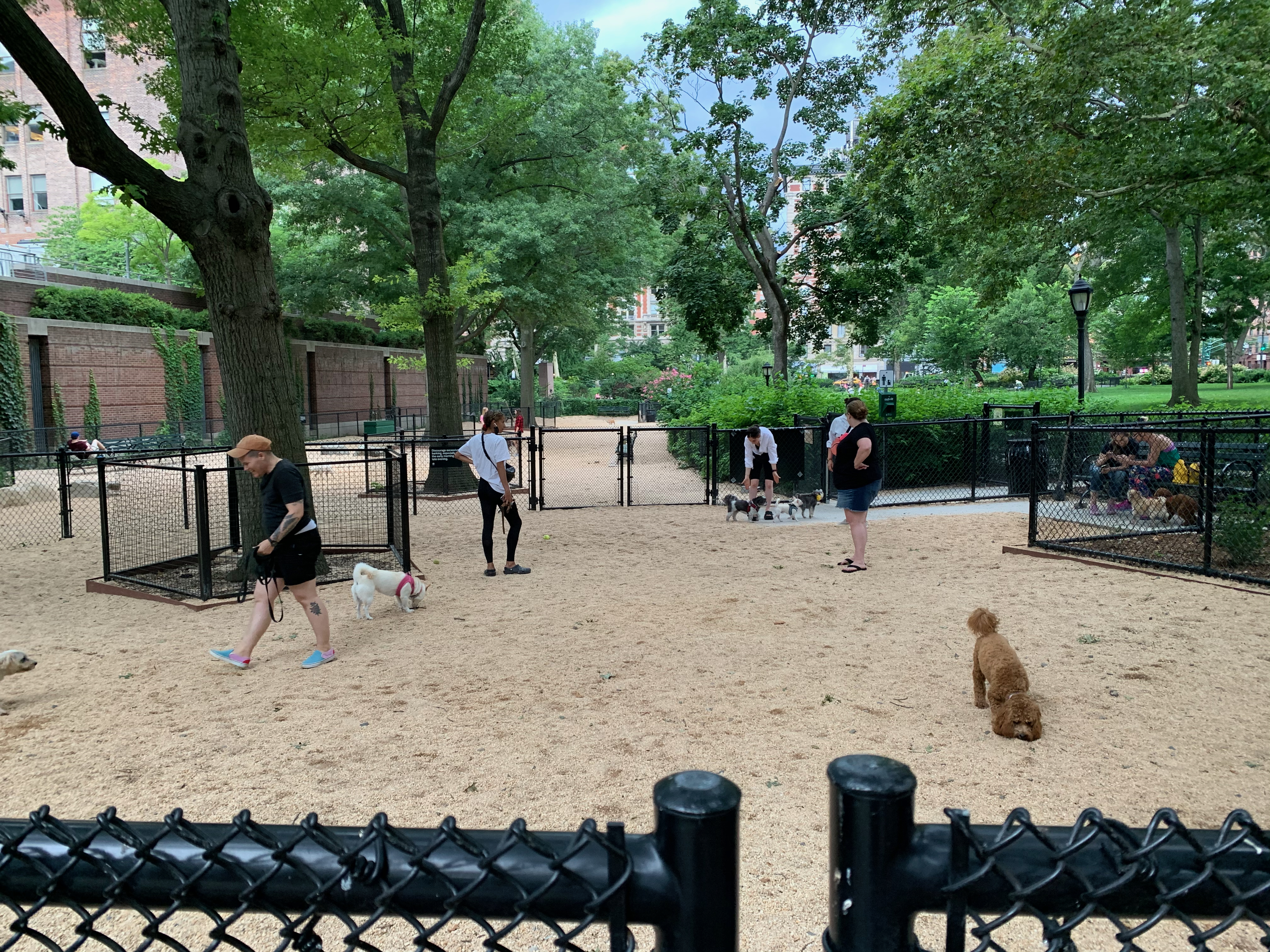 Theodore Roosevelt Park @ Natural History Museum