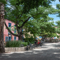 Getting a Driver's License in Mexico