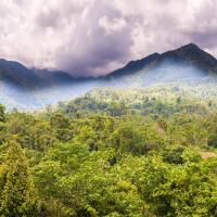 Living in Panama Guide