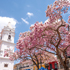 Best-Places-to-Live-Overseas-