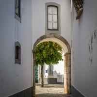 Public Transportation in Faro