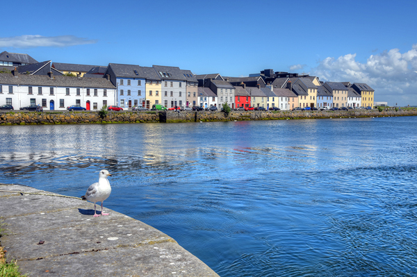 Expats Galway