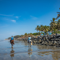 Gambia Guide