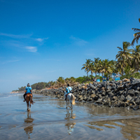 Moving-to-Gambia-with-a-Pet