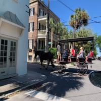 Best Bookstores and Libraries in Charleston