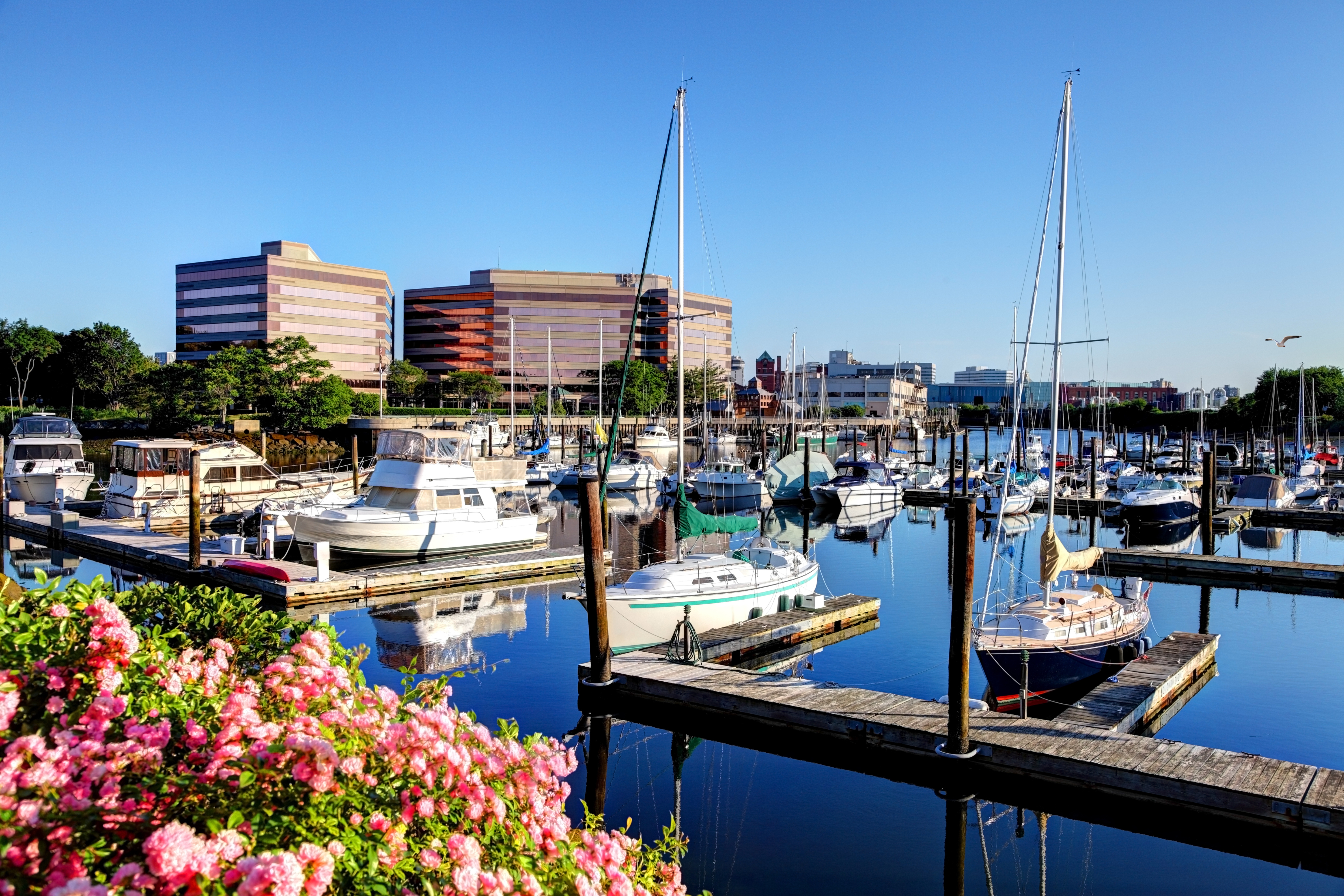 Stamford, CT