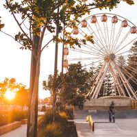 Pros and Cons of Living in Australia