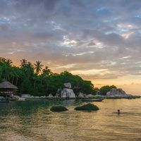 Living Abroad: Digital Nomads in Chiang Mai, Thailand
