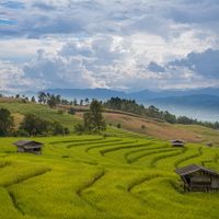 5 Great Places to Retire in Asia
