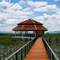 Expat Survey: More Than 85% of Expats in Thailand Rate Experience Highly