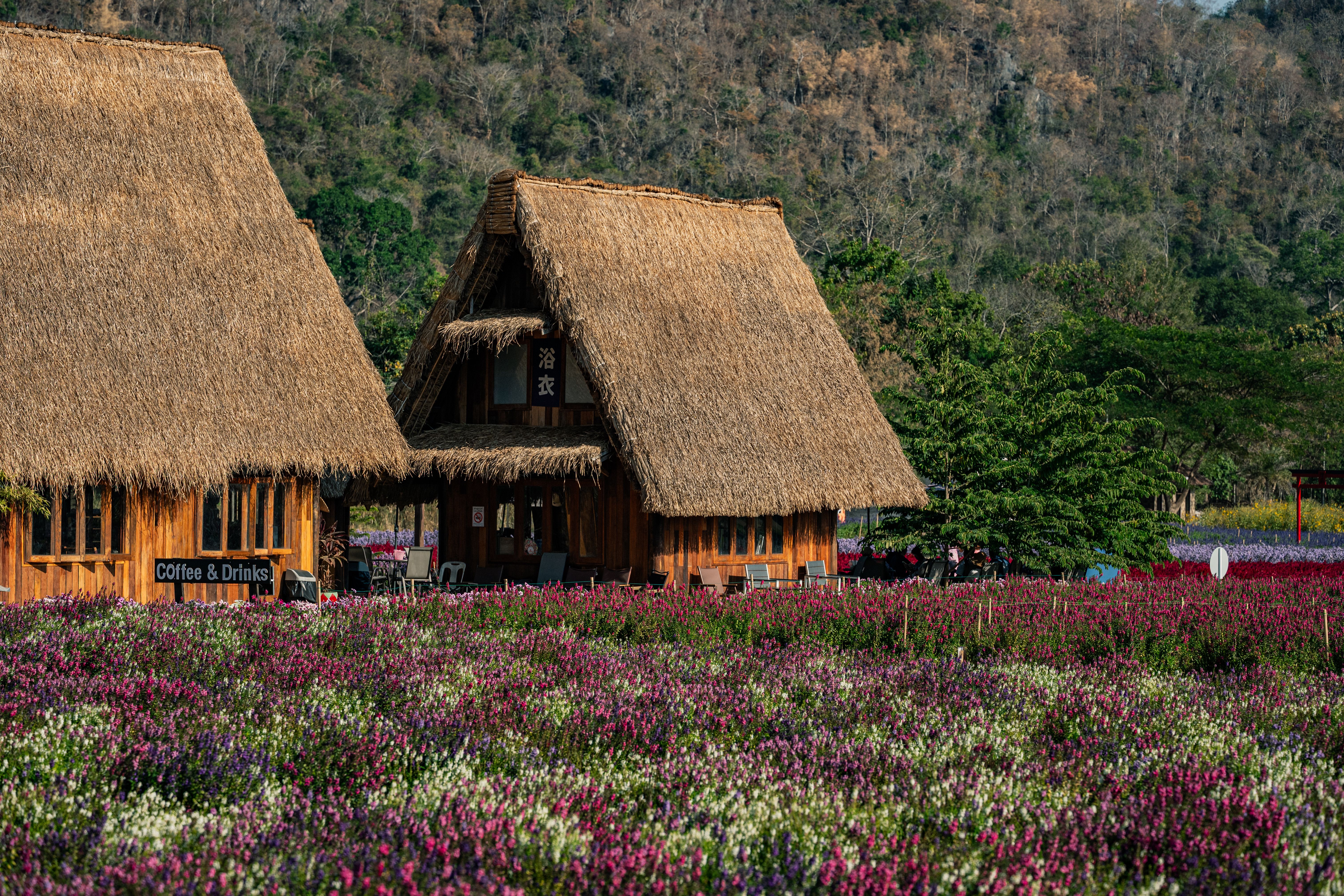 Thailand