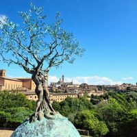 Living in Italy: Challenges and Culture Shock 