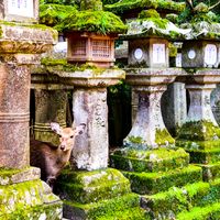 Volunteering in Nara
