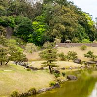 Prescription Medications and Pharmacies in Japan