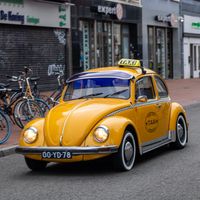 Culture Shock in The Netherlands