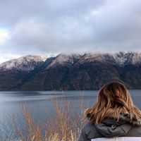 Top Hospitals in New Zealand by Specialty
