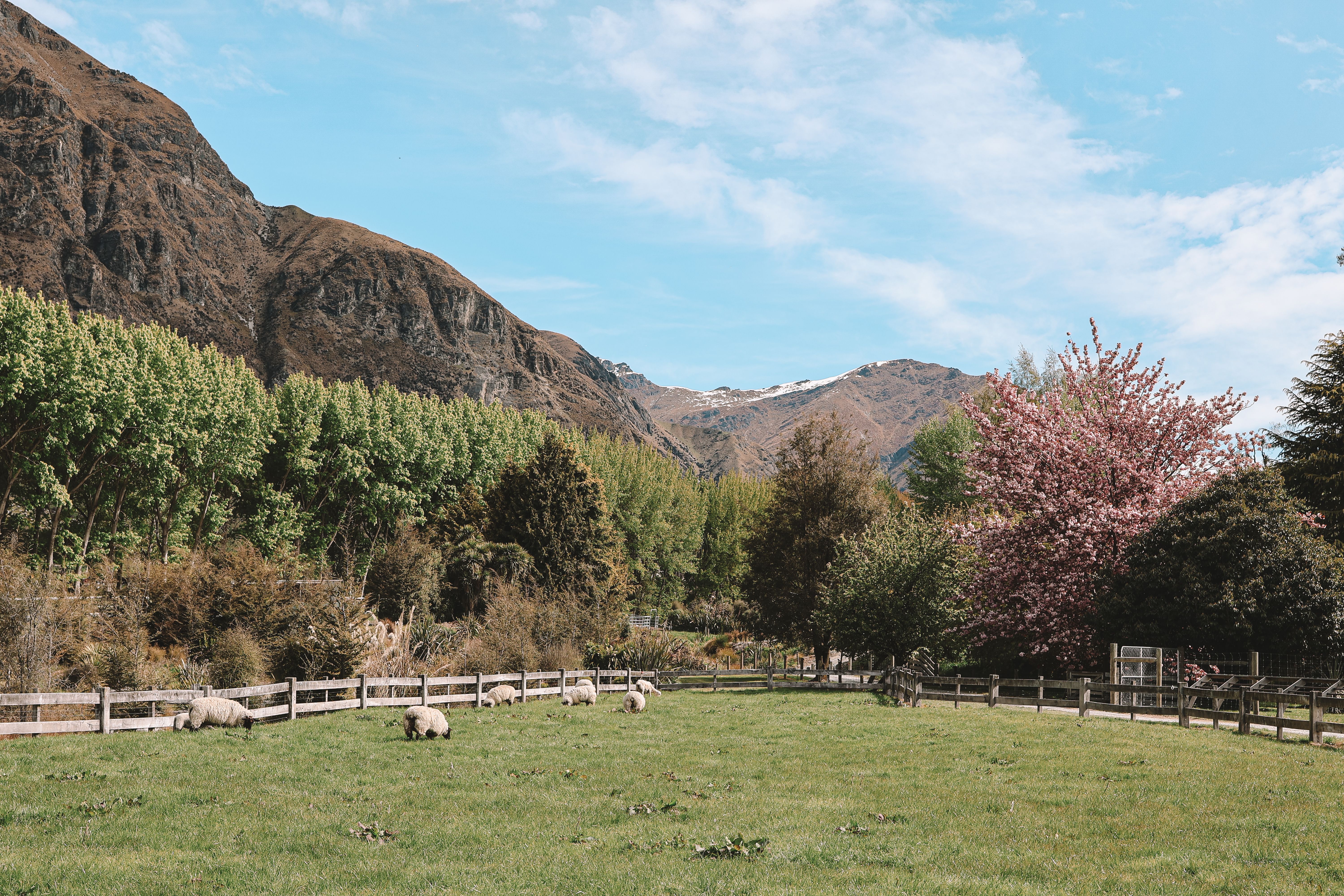 Queenstown, New Zealand