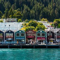 How to Enroll in the Public Healthcare System in New Zealand