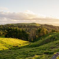 5 Best Places to Live in New Zealand