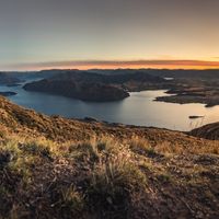 Culture Shock in New Zealand