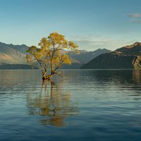 Do I need Health Insurance When Moving to New Zealand?