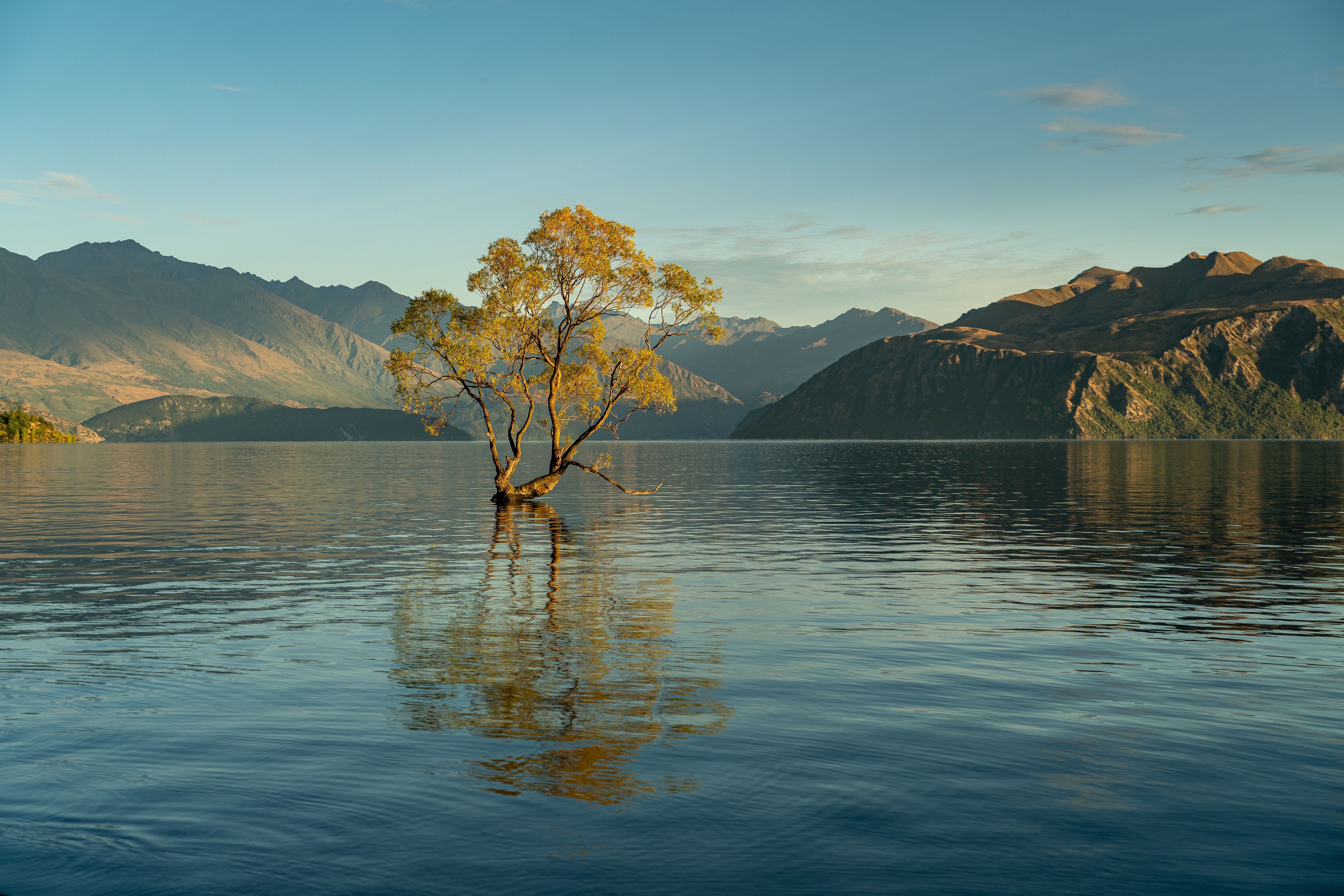 Wanaka, New Zealand