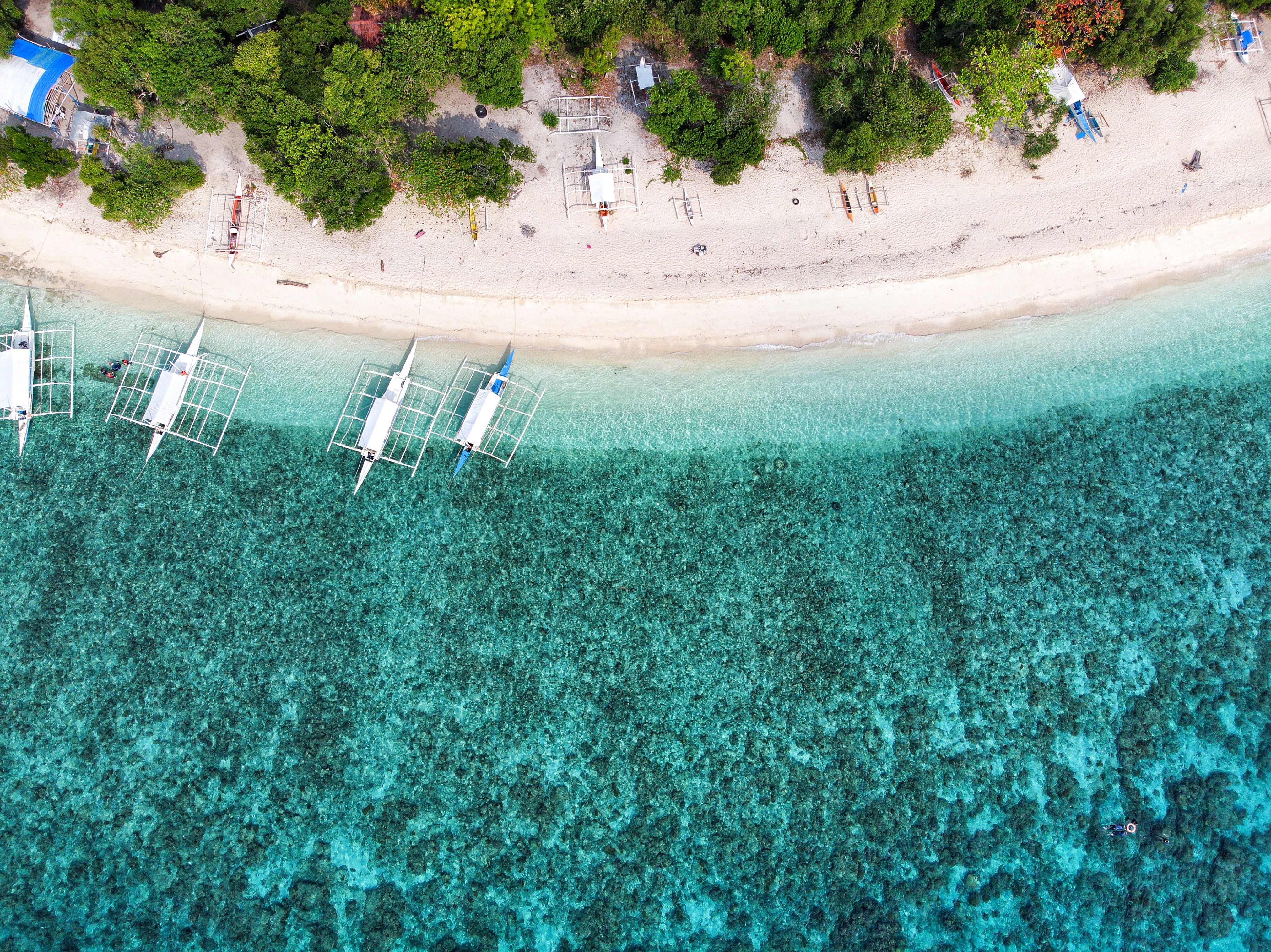Bohol Island, Philippines