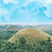Public Transportation in Bohol Island