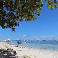 Pros & Cons of Living in Bohol Island