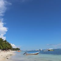 Best Markets in Bohol Island