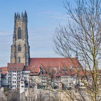 Moving to Switzerland with a Pet