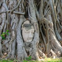 10 Best Places for Families to Live in Thailand