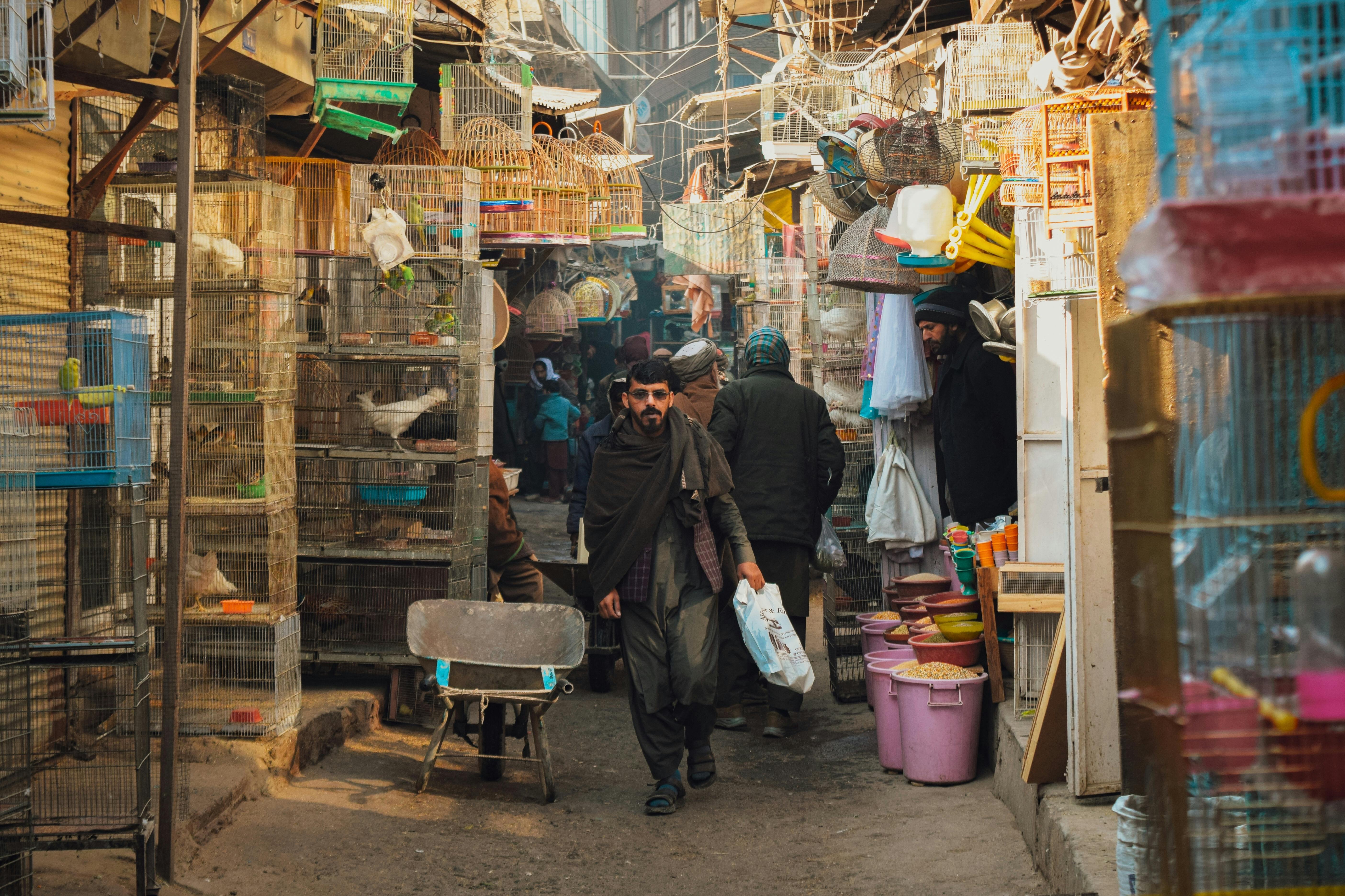 Afghanistan