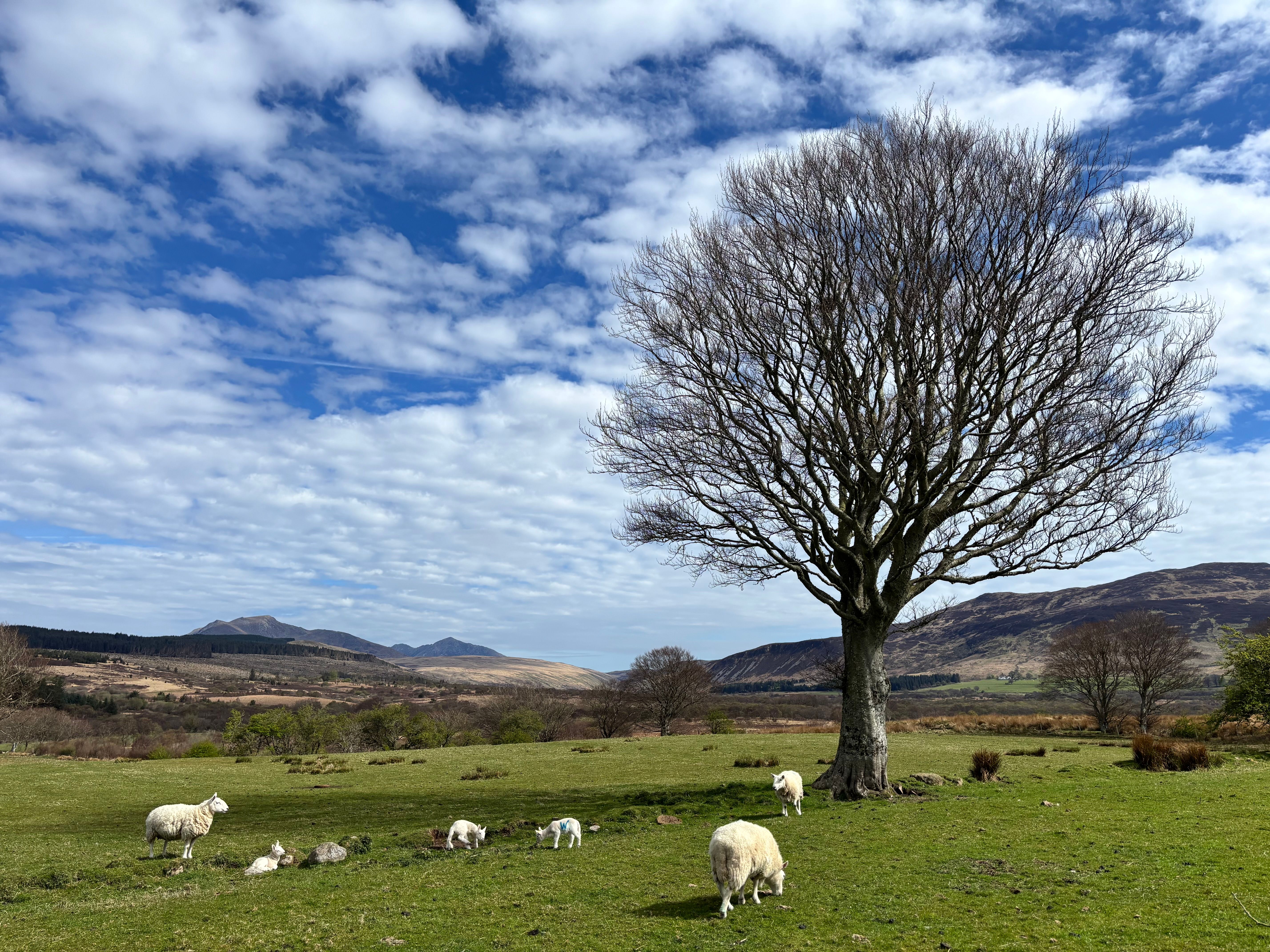 Scotland