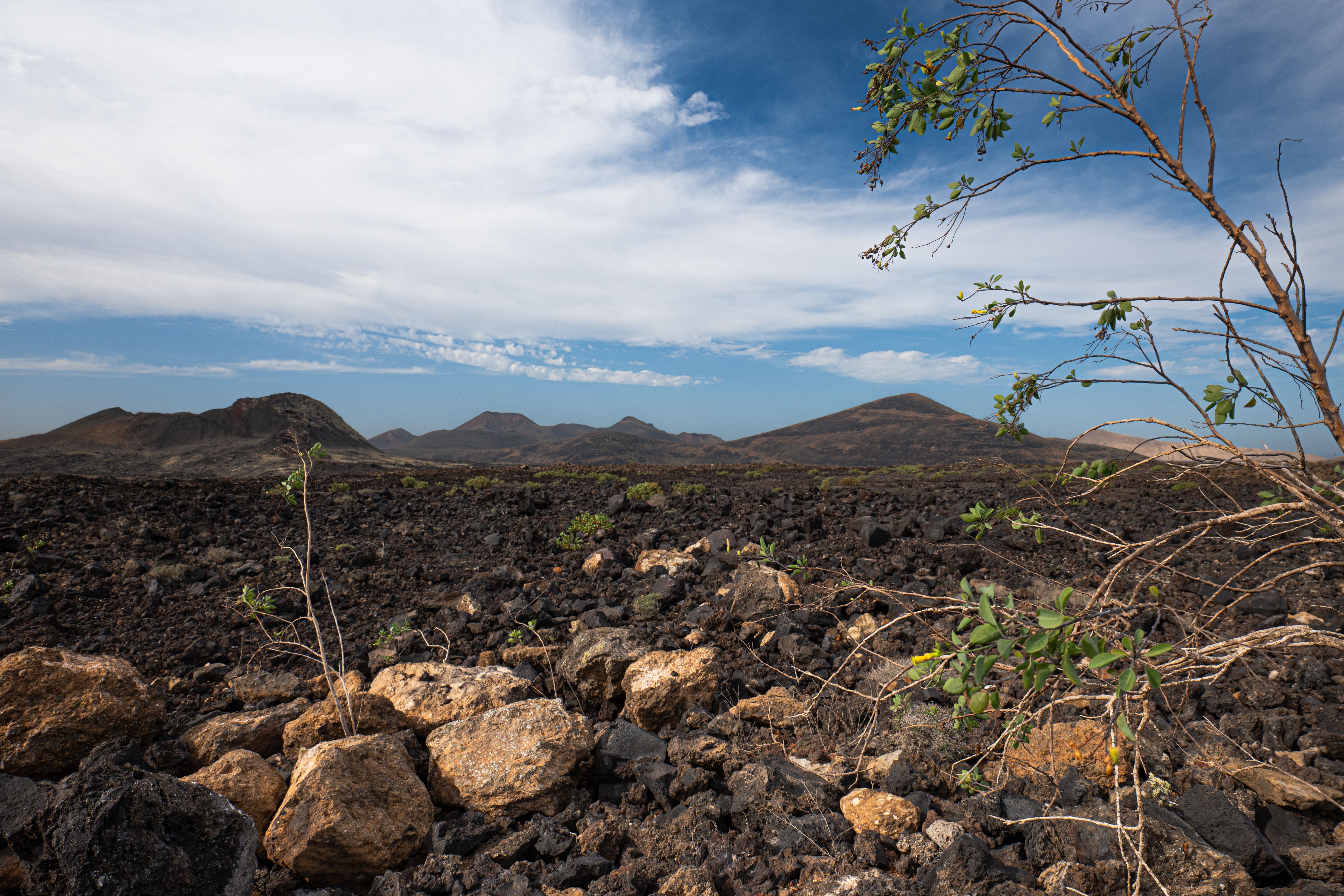 Lanzarote